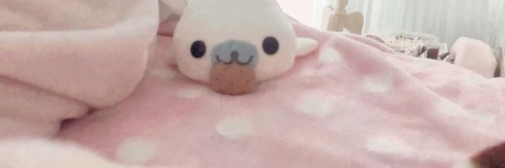 하은이 banner