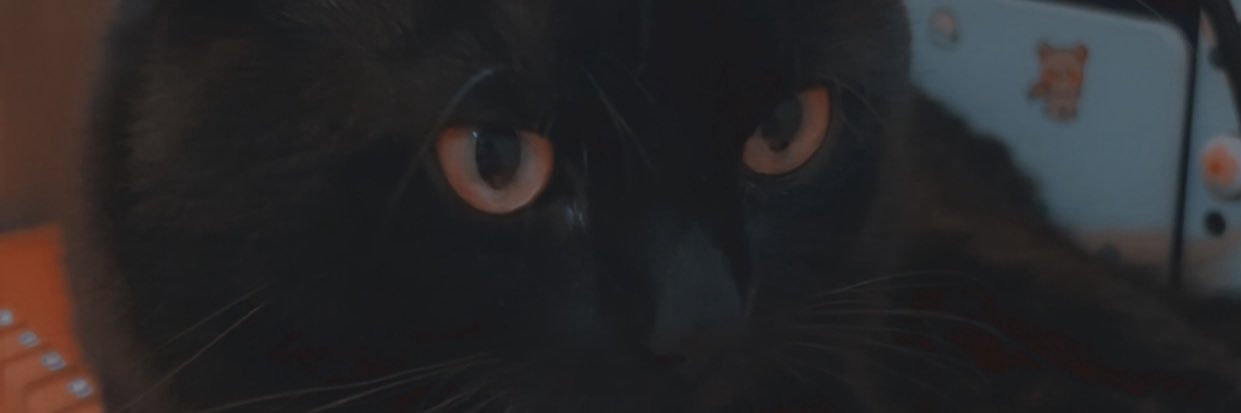 andrnssa's profile banner image