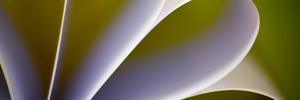 FrancescaDent1 Profile Banner