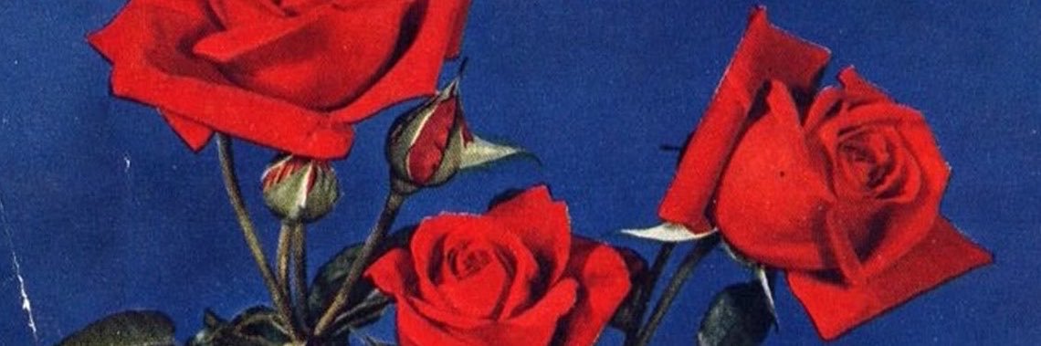 z4raz_r's profile banner image