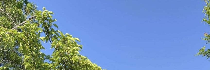 reon_beast40's profile banner image