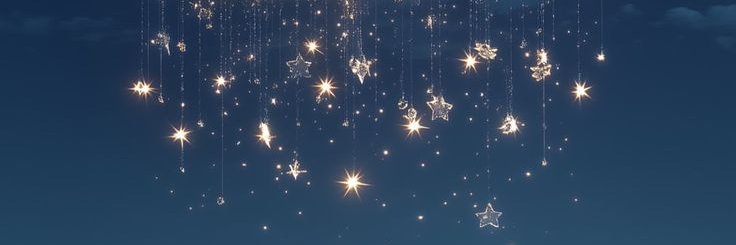 ⁠✿( ⊙⊝⊜ )ᴬᴿᴵᴿᴬᴺᴳ banner