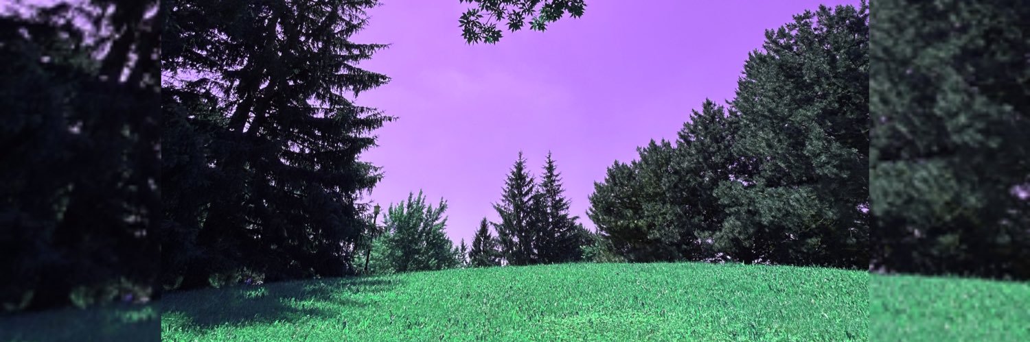 burnpinkskirt's profile banner image