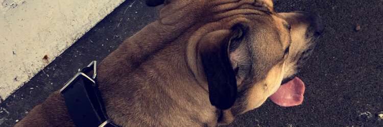 LeeRoyyy35's profile banner image