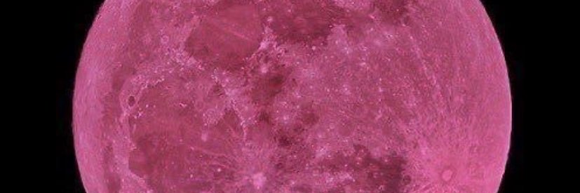 IamZyranko banner