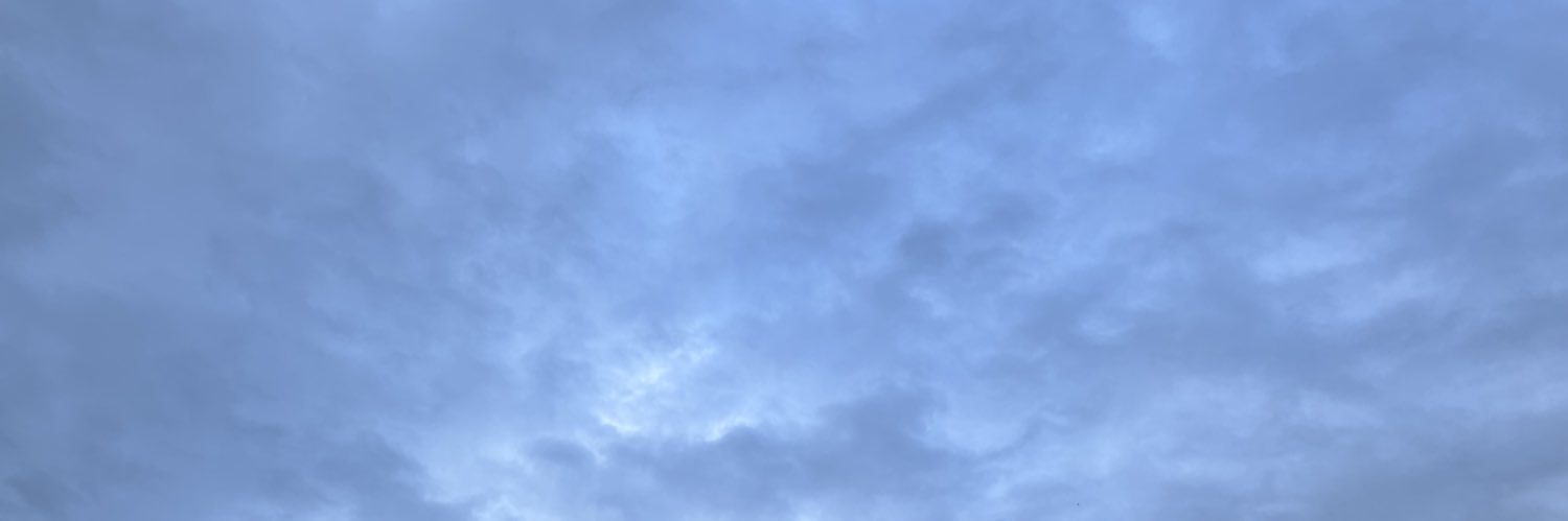 nyaaaaannm's profile banner image