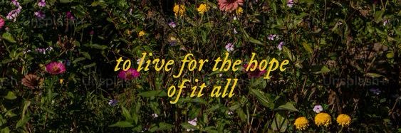 moyiiiii 🎠 banner