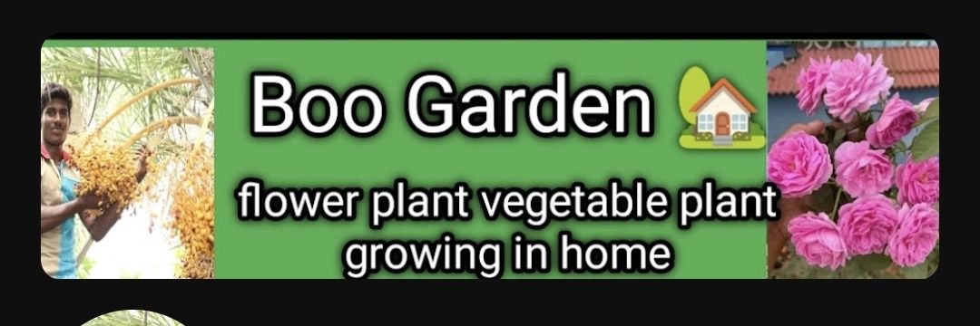 BooGarden's profile banner image