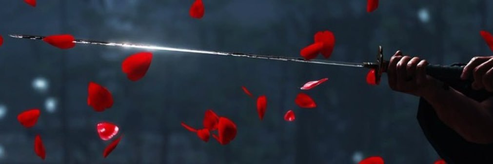sm banner