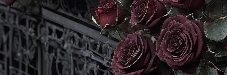 ☆ banner