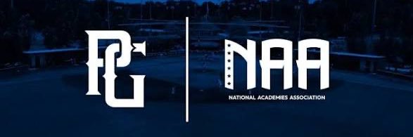 NAA_Conference banner