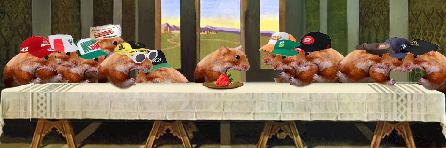 nomnomUSDC's profile banner image