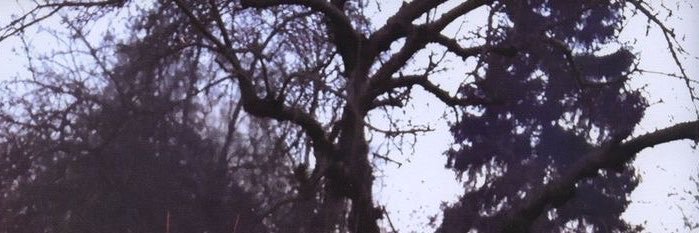 8iunzi's profile banner image