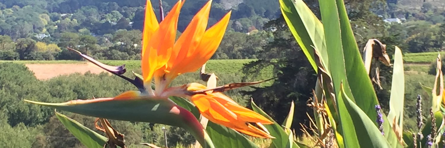 antmatt's profile banner image