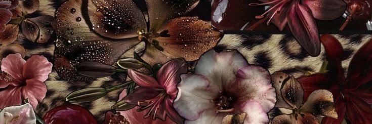 P0PFLOPPED's profile banner image