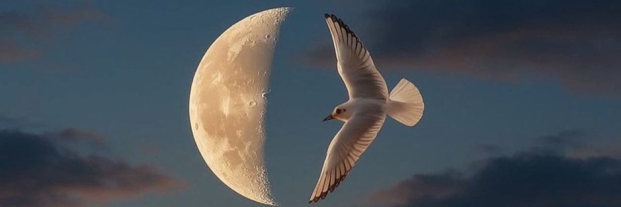 مبارك | Mobarak banner