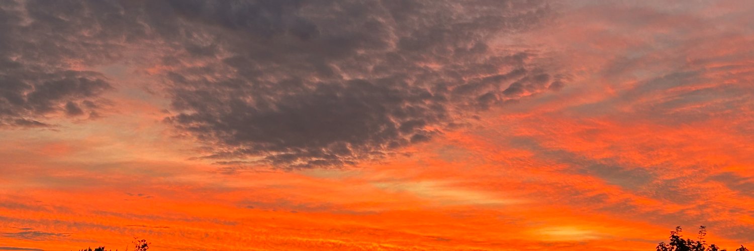 Jason Goodman banner