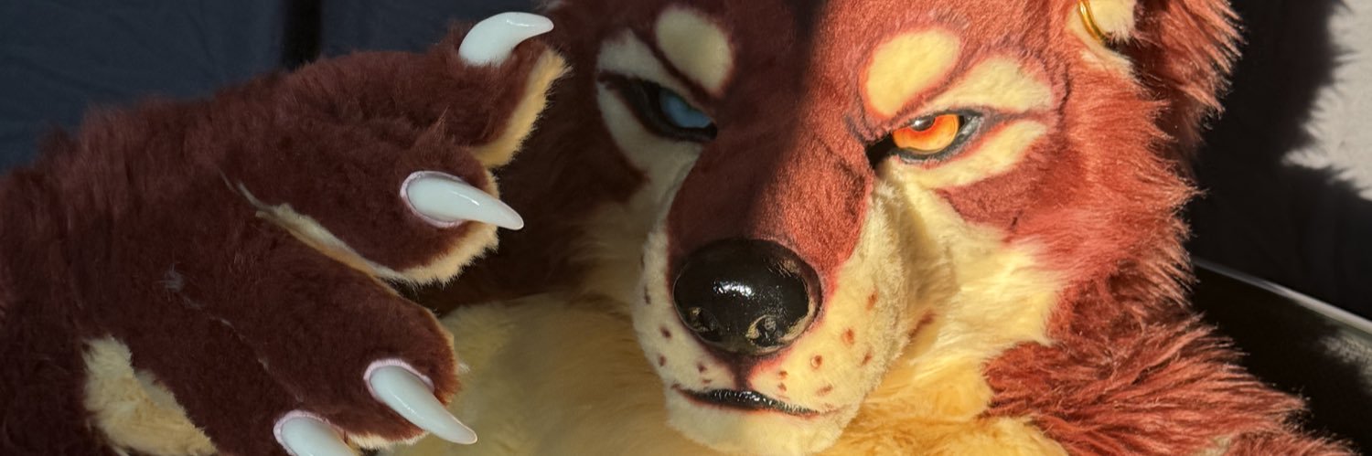 RedWolfSiche's profile banner image