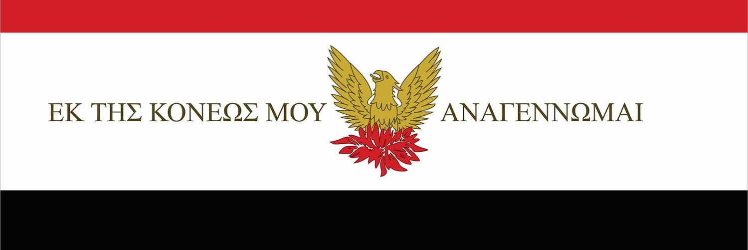 Noctullian 🟥🦅⬜️⬛️ banner