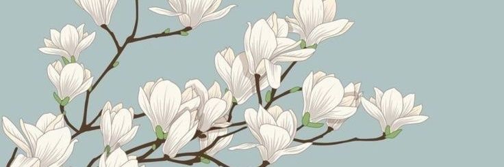 Kocha_813's profile banner image
