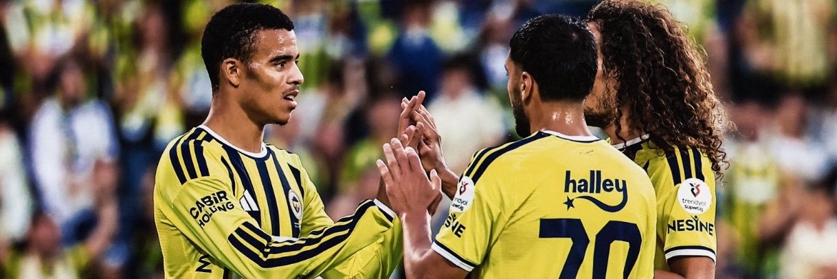 fenerhuls's profile banner image