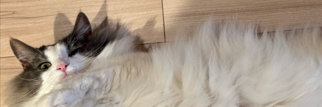 ma1kt3's profile banner image