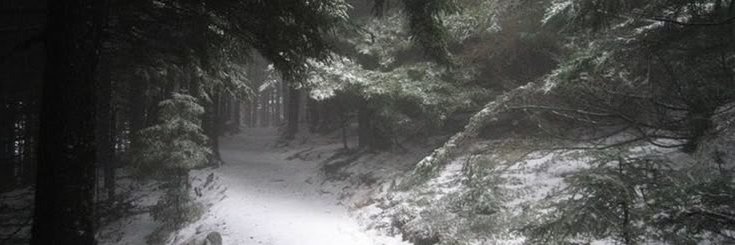 Pepprinthe_Sg's profile banner image