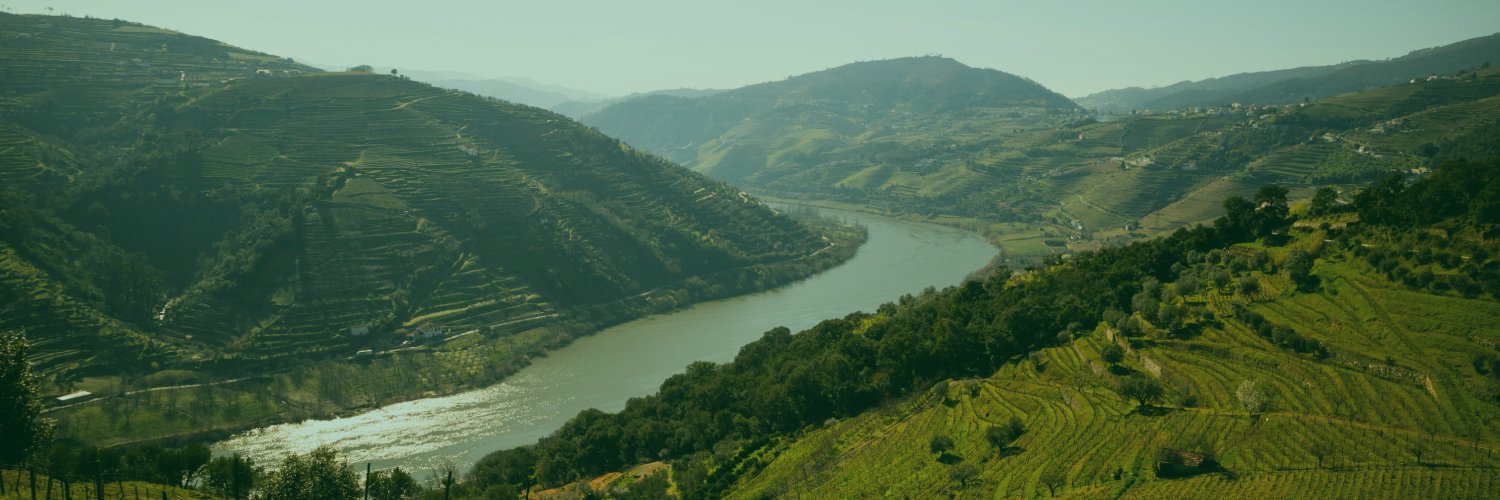Paços Cu Alho ⤴️ banner