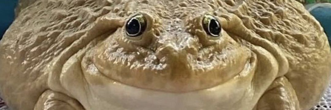 فت‌الله banner