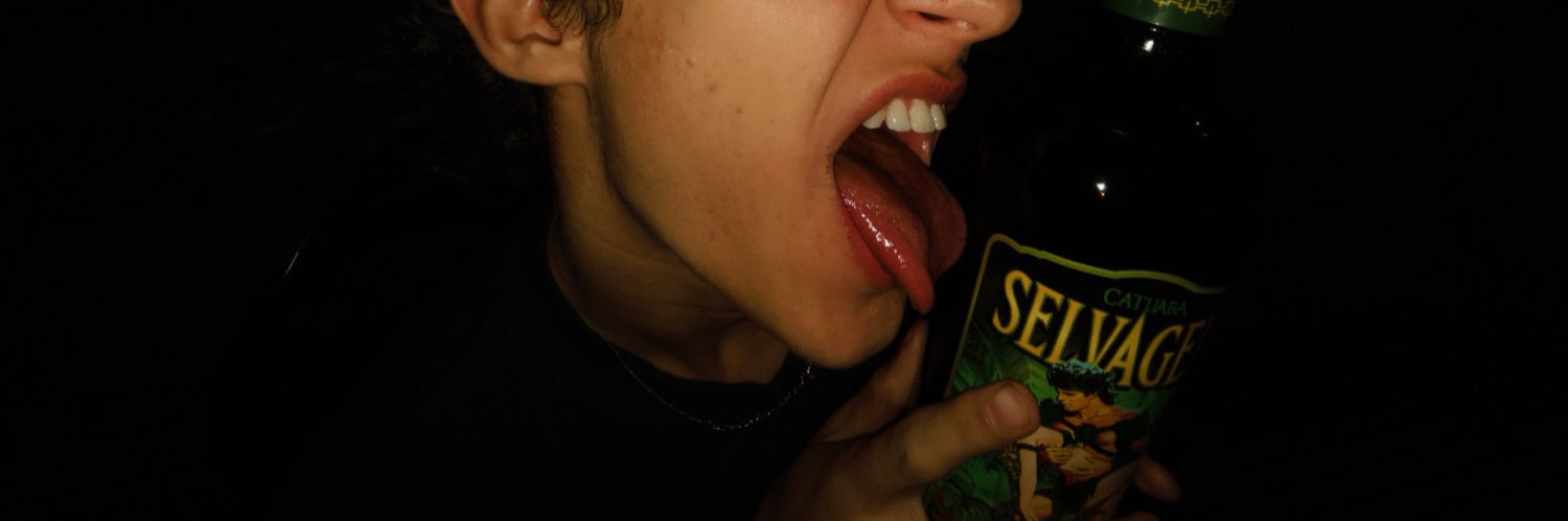skriwitkzi's profile banner image