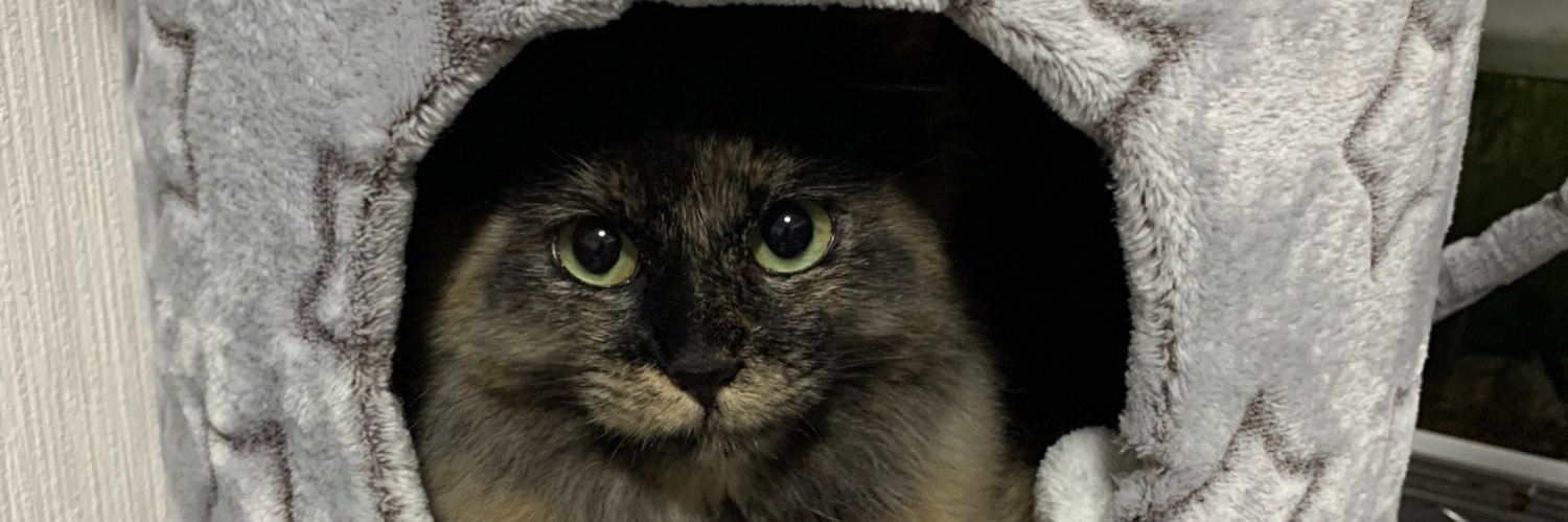 qooandten's profile banner image