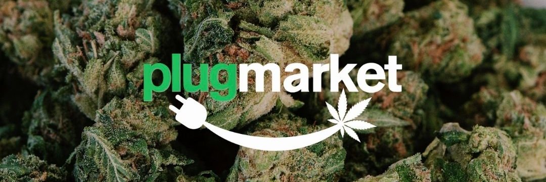 Plug Market banner