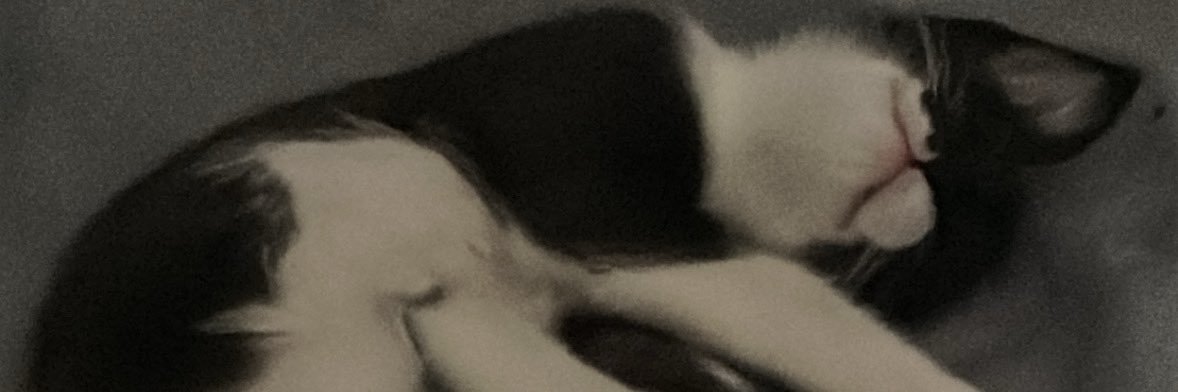 Fer banner