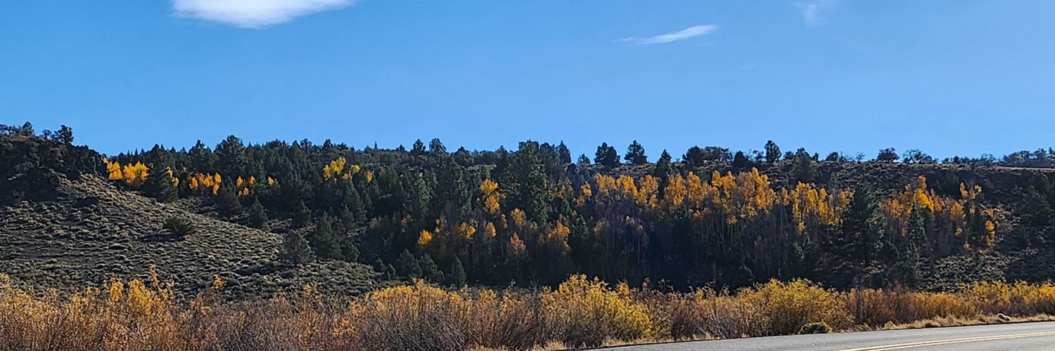 GardenJess's profile banner image