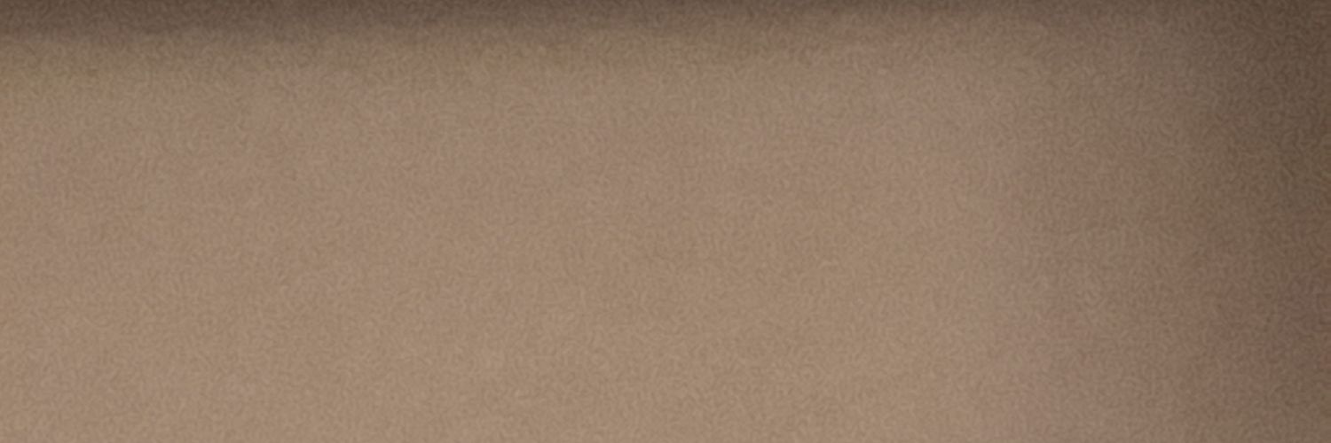 faniveQuQ's profile banner image