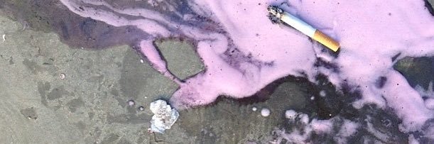 decadent🍬🧁 banner