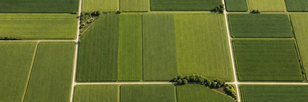 landledgerco Profile Banner