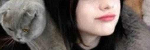 WardSavage56629's profile banner image
