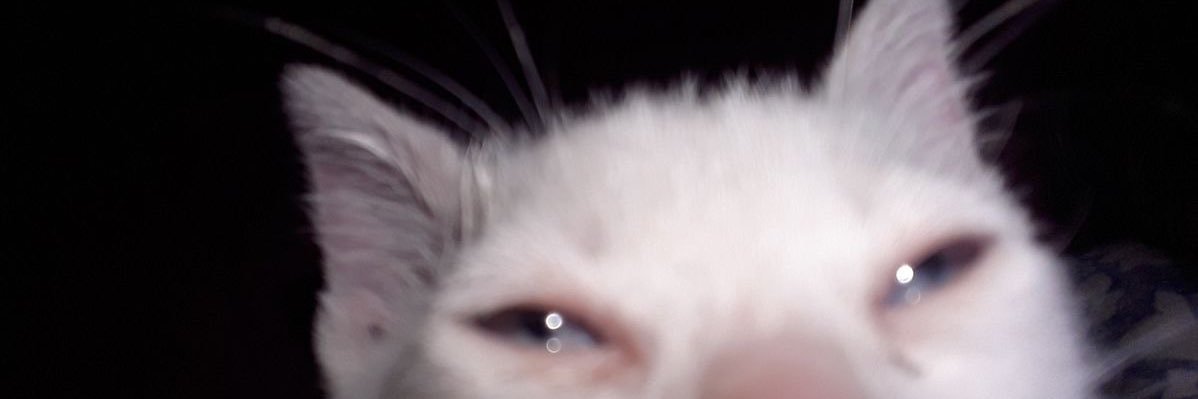 xuanzhenisms's profile banner image