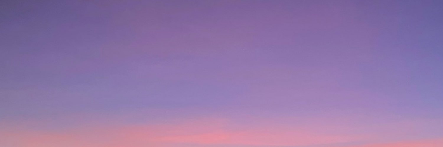 Mr.Reese banner