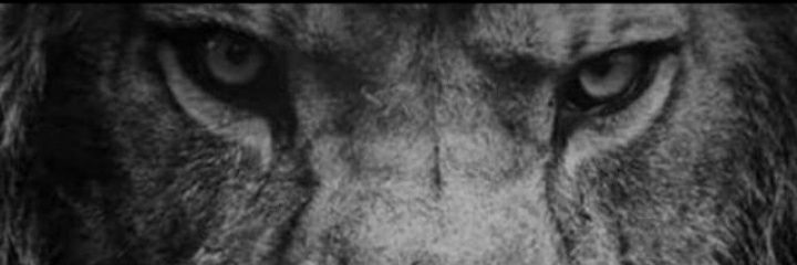 Tjskills's profile banner image