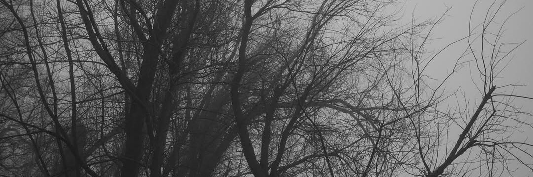 Víctor Van Helsing 🖤🦇💀 banner