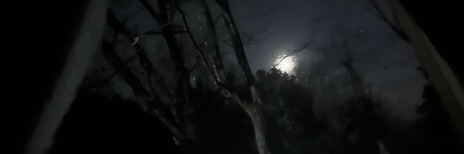 weirdoevyyy's profile banner image