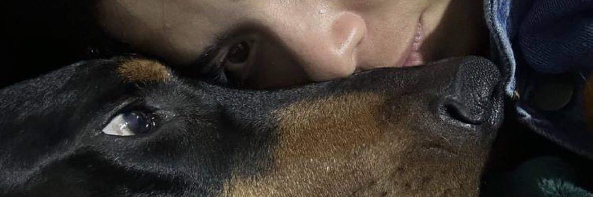 dogknottjay's profile banner image