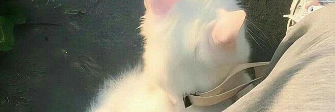 CostaEdmun51322's profile banner image