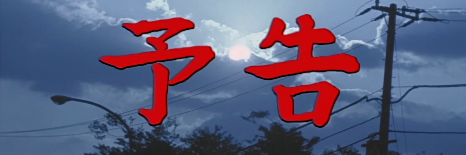 shin banner