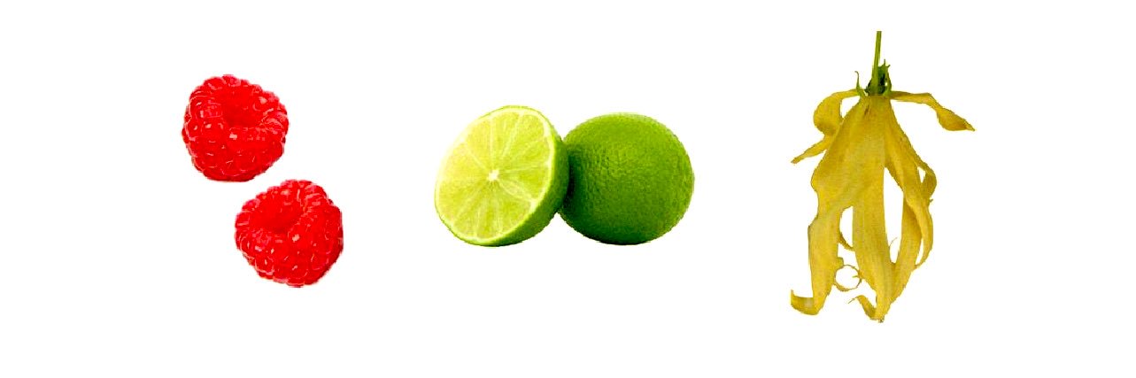 dayn / 데인 🦌 banner