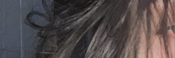 zeuls banner