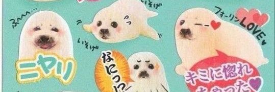ffion (˶˃𐃷˂˶) banner