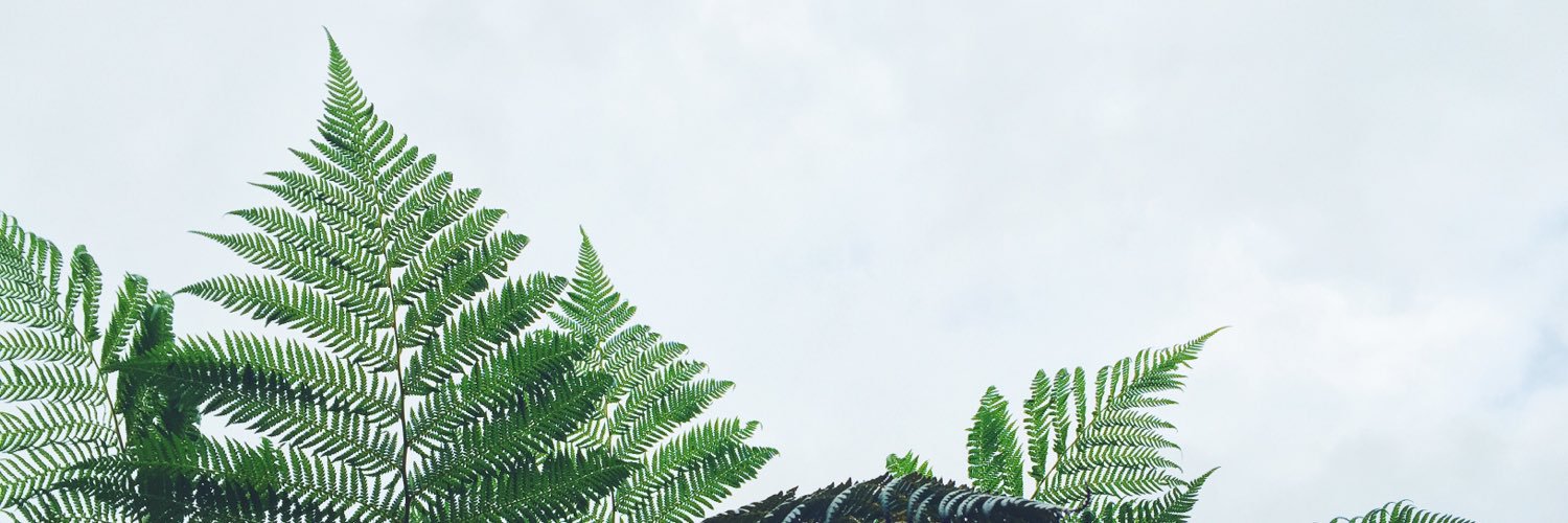 bertyc's profile banner image